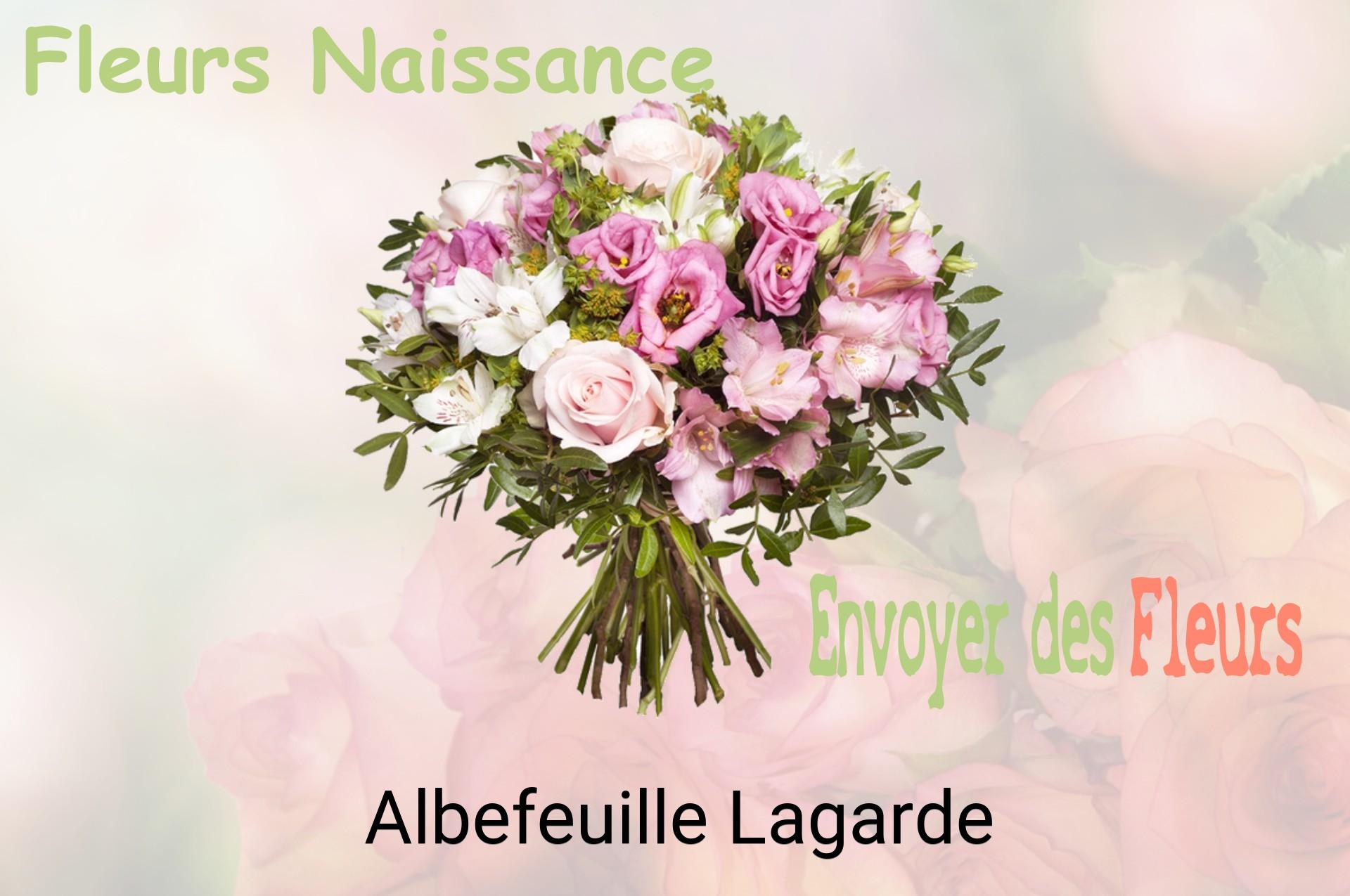 Bouquet de fleurs de naissance livré à Albefeuille-Lagarde